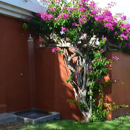 The Peaches Bungalows 45 & 46 ماسبالوماس المظهر الخارجي الصورة