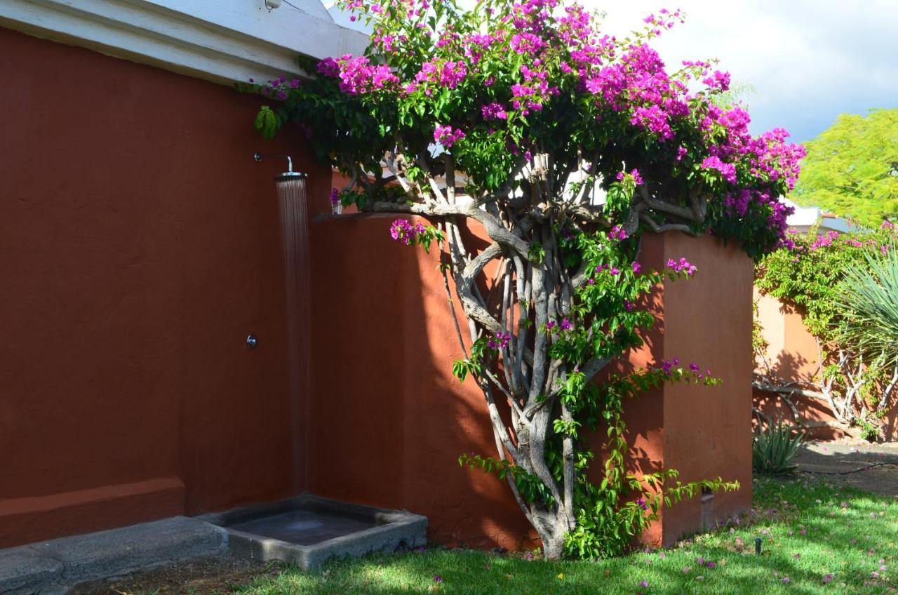 The Peaches Bungalows 45 & 46 ماسبالوماس المظهر الخارجي الصورة
